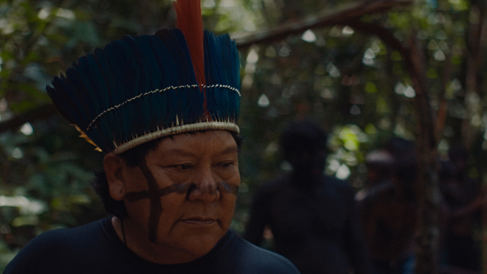 Бразильский "Последний лес" привлекает внимание к находящейся под угрозой исчезновения Амазонке