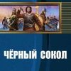 «Черный сокол» Сапронов Евгений 6064d0fe44ea1.jpeg