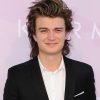 joe keery