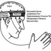 «nlp. Полное практическое руководство» 605dd2c916b84.jpeg