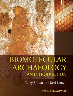 «biomolecular archaeology. an introduction» brown t. a. 6065c0504d8d5.jpeg