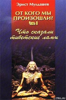 «Что сказали тибетские ламы» Мулдашев Эрнст Рифгатович 6064fc771ca62.jpeg