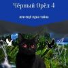 «Чёрный Орёл 4 или ещё одна тайна» Александра Сергеевна Тимофеева 6065b1be6cf3c.jpeg