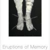 «eruptions of memory. the critique of memory in chile, 1990 2015» 6065bcf991c5f.jpeg