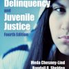 «girls, delinquency, and juvenile justice» 6065be86a86a1.jpeg