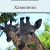 «Хамелеон» Ксения Шанцева 606593b8a0abc.jpeg