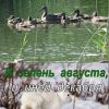 «И зелень августа, и иней декабря…» Всеволод Воробьёв 60660414476cc.jpeg