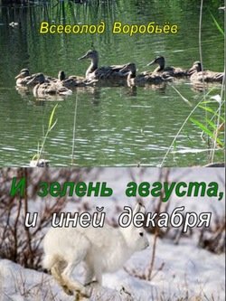 «И зелень августа, и иней декабря…» Всеволод Воробьёв 60660414476cc.jpeg