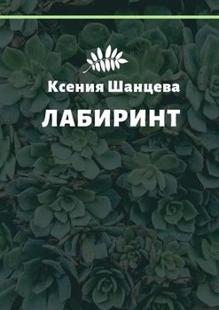 «Лабиринт» Ксения Шанцева 606593c486bd1.jpeg