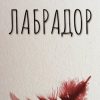 «Лабрадор» 6065ab667ee56.jpeg