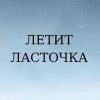 «Летит Ласточка» Катерина Мисько 6065b0c9263b7.jpeg