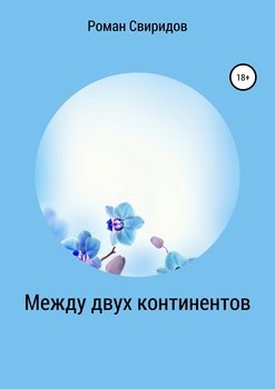 «Между двух континентов» Роман Свиридов 60663fbc6d427.jpeg