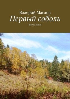 «Первый соболь. Шестая книга» Маслов Валерий 6065ab9b789ca.jpeg