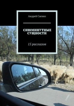 «Сиюминутные сущности. 15 рассказов» Саенко Андрей 60660820605ba.jpeg