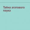 «Тайна агатового паука» Алла Кречмер 60658c75b02f0.jpeg