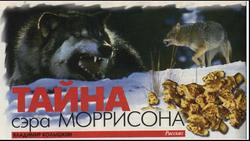 «Тайна сэра Моррисона» Колышкин Владимир 60658d3103d3f.jpeg