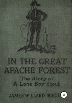 «В Великом лесу апачей» Джеймс Уиллард Шульц 606599e468a1e.jpeg