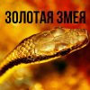«Золотая змея» Андрей Кутерницкий 606a47c89e595.jpeg
