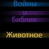 «Звёздные Войны и Библия: Животное» Сергий Сергиев Абу Шайх 6065e0b470d15.jpeg