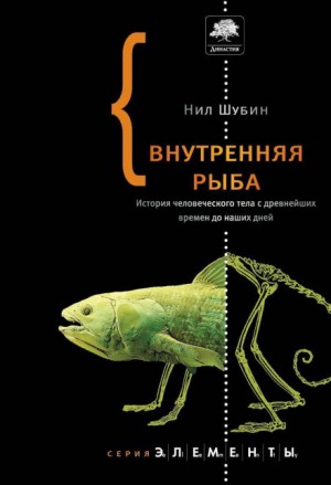 «Внутренняя рыба. История человеческого тела с древнейших времен до наших дней» Нил Шубин 623d007e812ac.jpeg