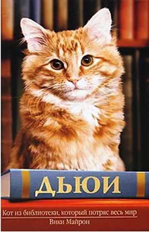 «Дьюи. Кот из библиотеки, который потряс весь мир» Вики Майрон 6279a564bc39e.jpeg